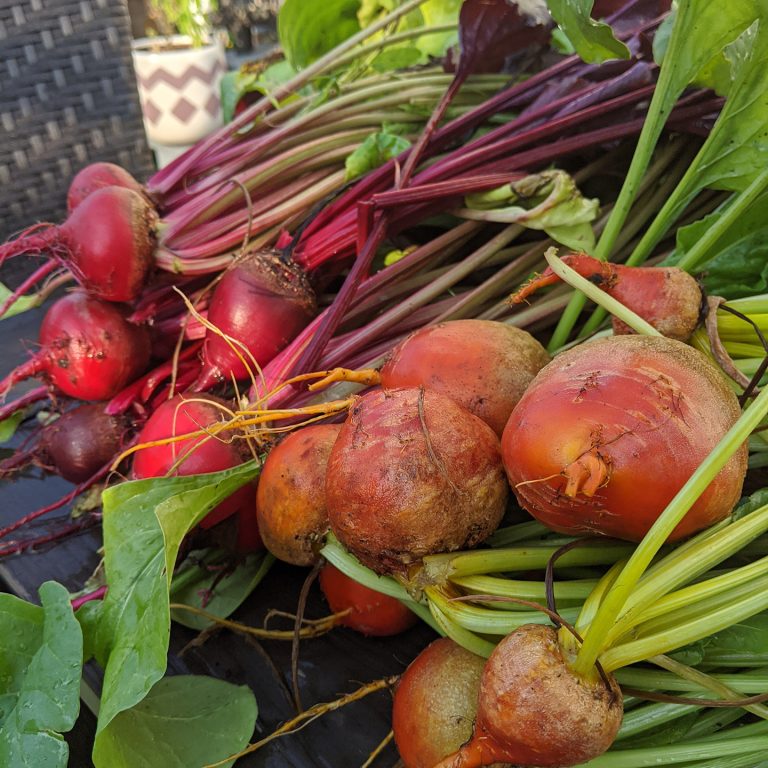various root vegetables in basket