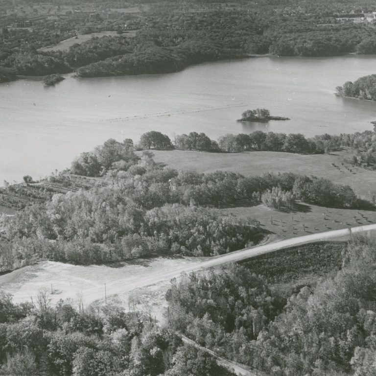 black and white aerial photo of cootes paradise