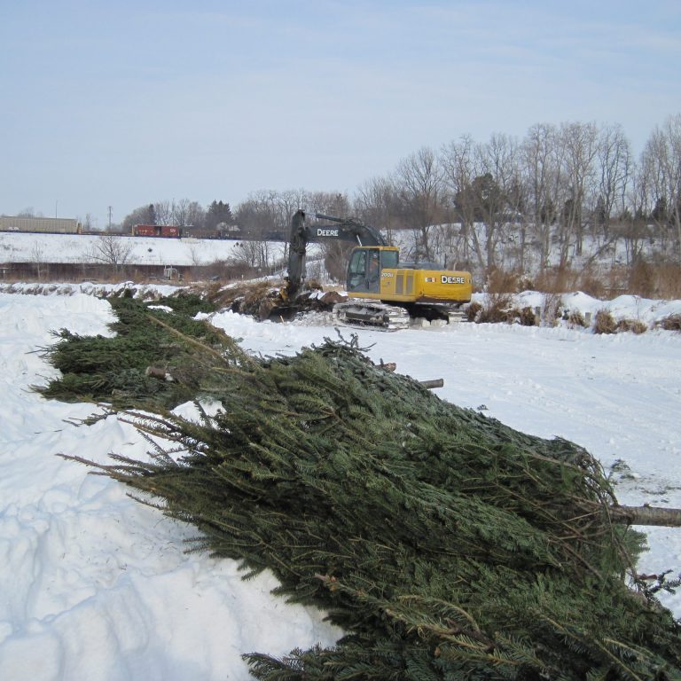 staff realigning stacks of donated Christmas trees atop the ice to form a barrier in Grindstone creek