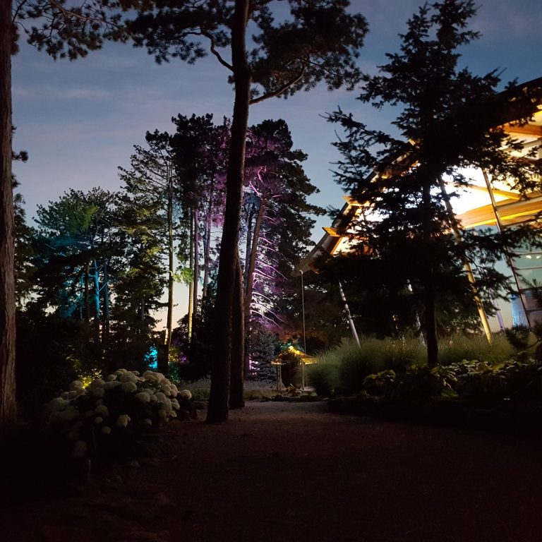 rock garden visitor centre at night