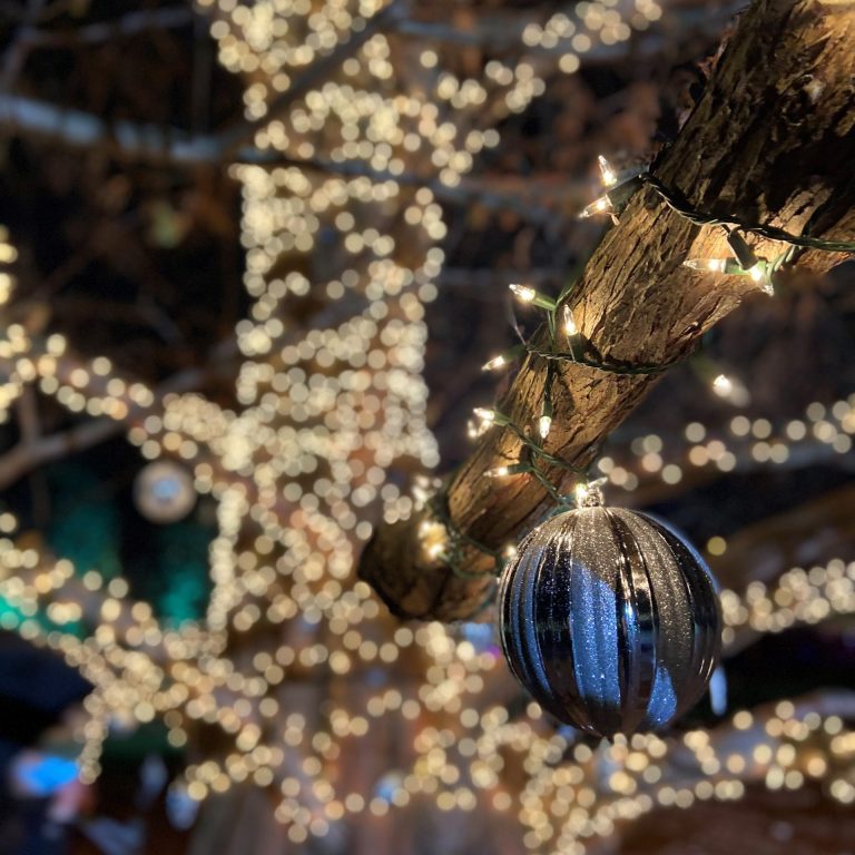 Close up of silver christmas ball ornament hanging on tall tree