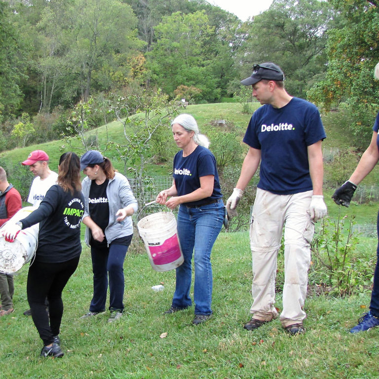 Corporate Volunteers Passing Buckets Of Soil Down A Line