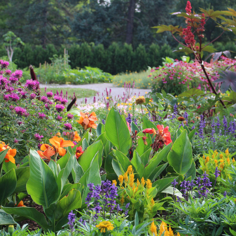 Hendrie Park Global Garden In Bloom