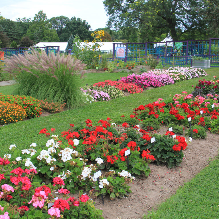 Hendrie Park Trials Garden