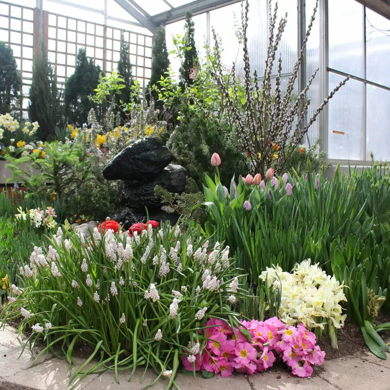 Indoor Breezeway Floral Display Spring 2019