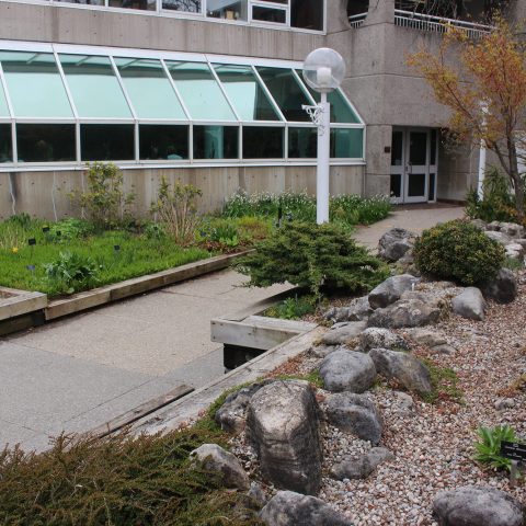 Spicer Court Lined With Spring Beds