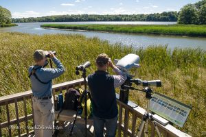 staff-on-marsh-platform-looking-through-binoculars-credit-markzelinski.com Staff On Marsh Platform Credit Markzelinski.com Looking Through Binoculars