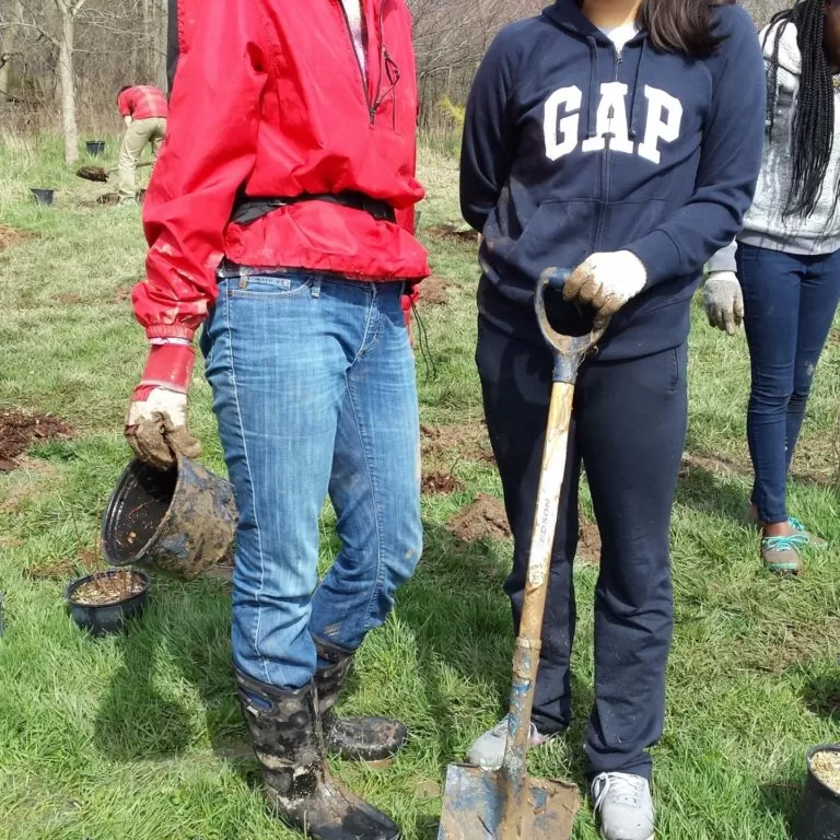 Volunteers Tree Planting In Park