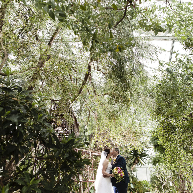 Wedding Couple In Mediterranean Garden Greenhouse