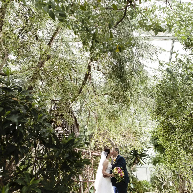 Wedding Couple In Mediterranean Garden Greenhouse