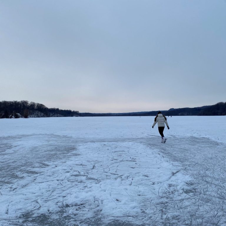 Person skating on Cootes Paradise Marsh