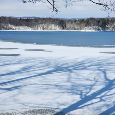 Cootes Paradise - Partially frozen Cootes Paradise partially frozen
