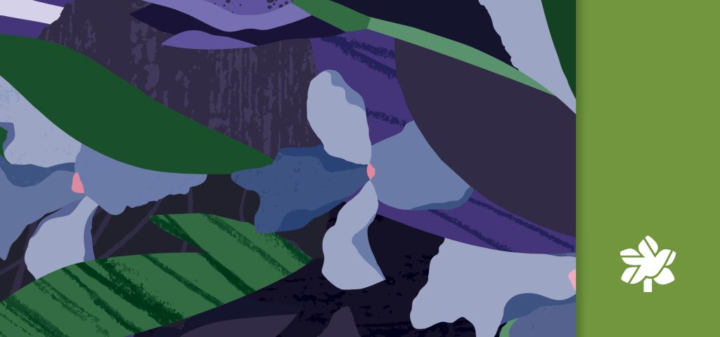 flat illustration of purple iris flowers