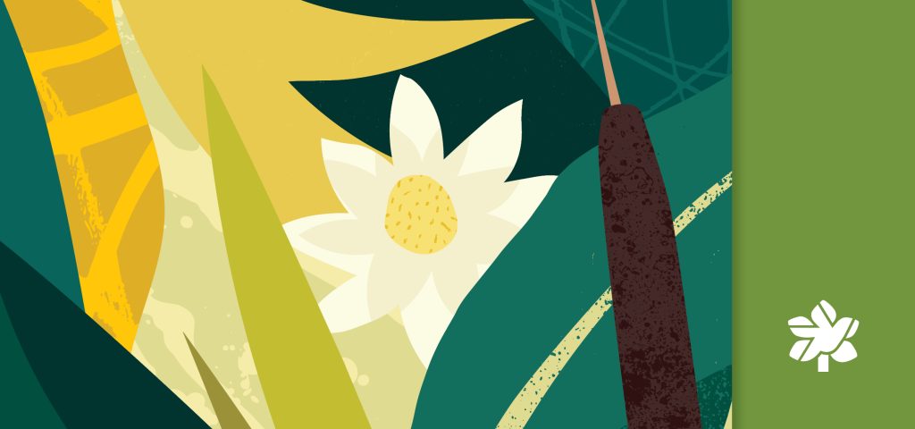 flat style illustration of plants from RBG nature sanctuaries