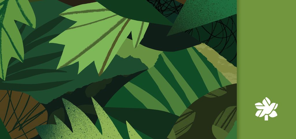 flat illustration of tree leaves