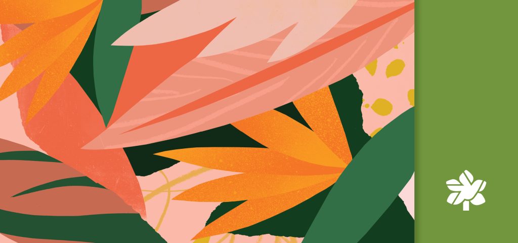 flat illustration of mediterranean flowers including bird if paradise