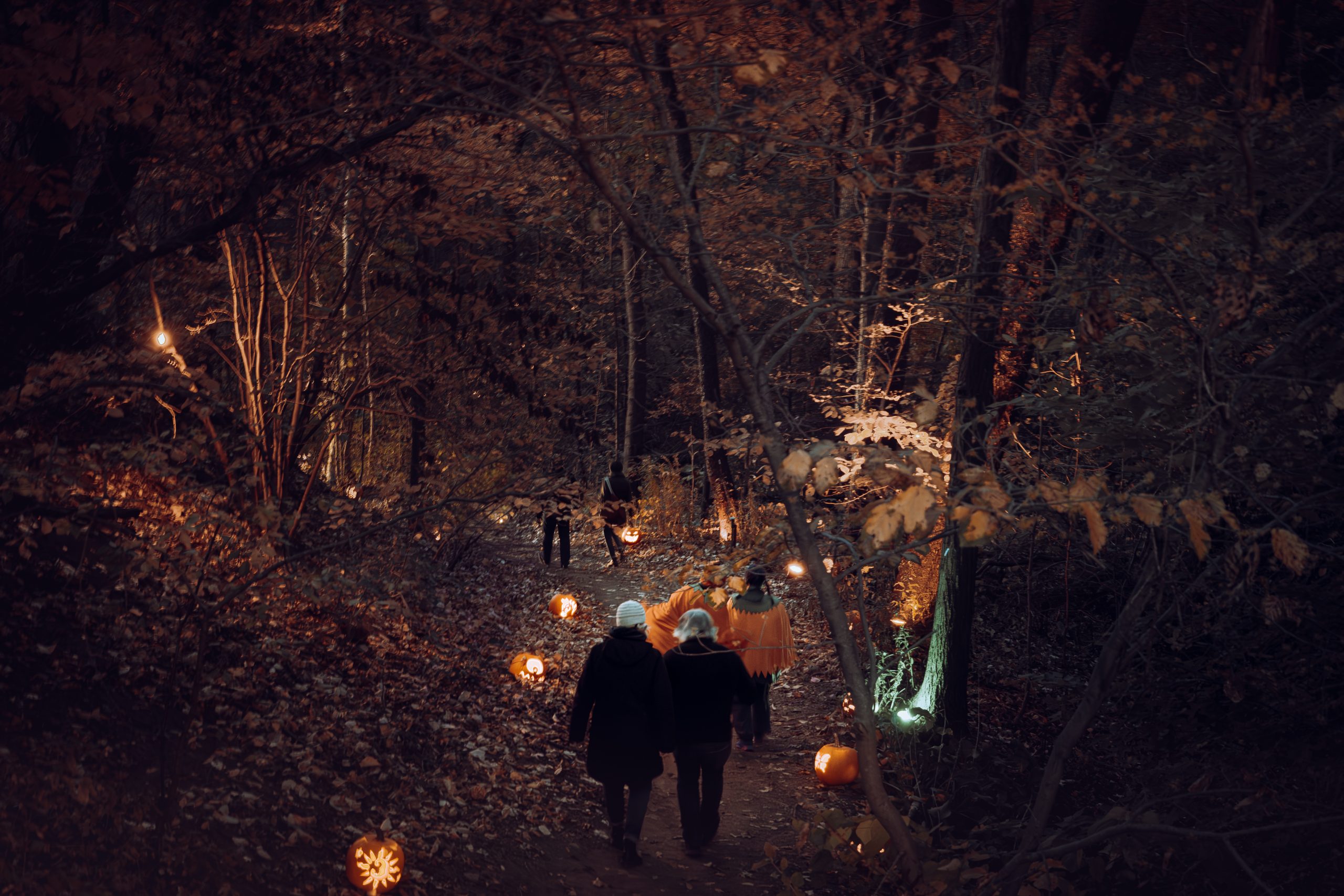 Trail illuminated by jack-o-lanterns and some up lighting on the trees. Groups of people walk along it deeper into Hendrie Valley