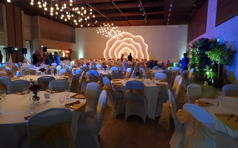 Auditorium wedding venue with low lights and featured coloured uplighting, large light installation in the pattern of a tree stump on the back wall