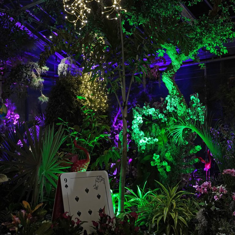 Mediterranean garden lit up for After Dark, featuring alice in wonderland themed decor including a larger than life playing card