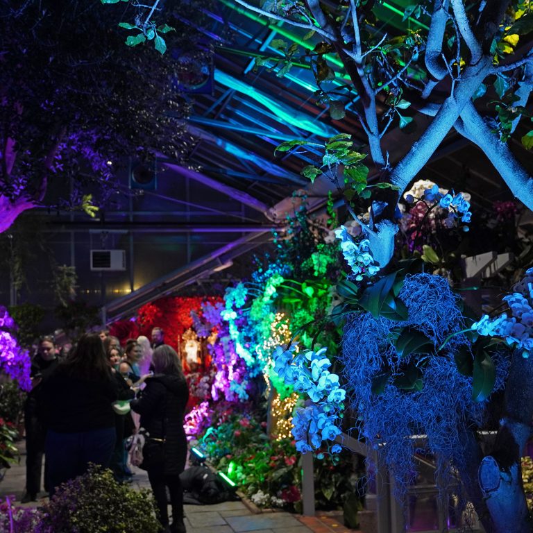 Mediterranean Garden lit up during After Dark, featuring orchid installations