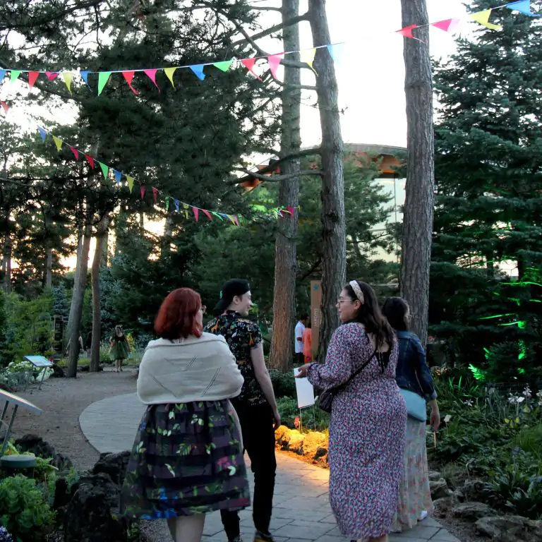 group of young people walking through the rock garden at night