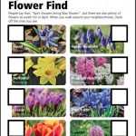 April Flower Find April Flower Find activity
