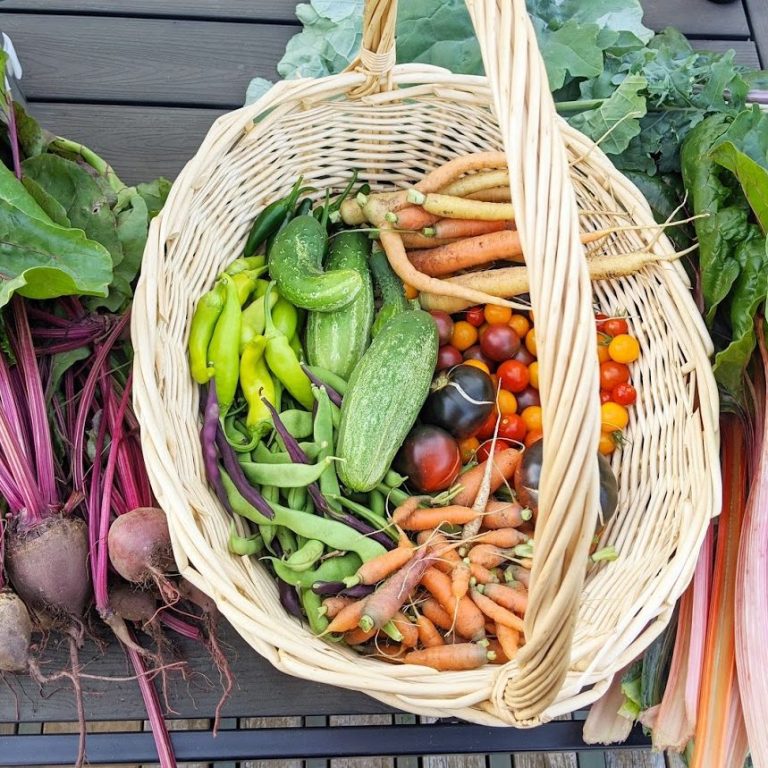 Colourful basket full of fresh veggies harvested from a home garden