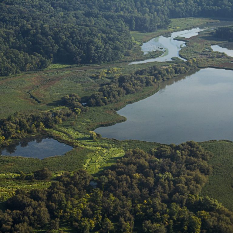 Aerial photo of cootes paradise marsh from the 1990's