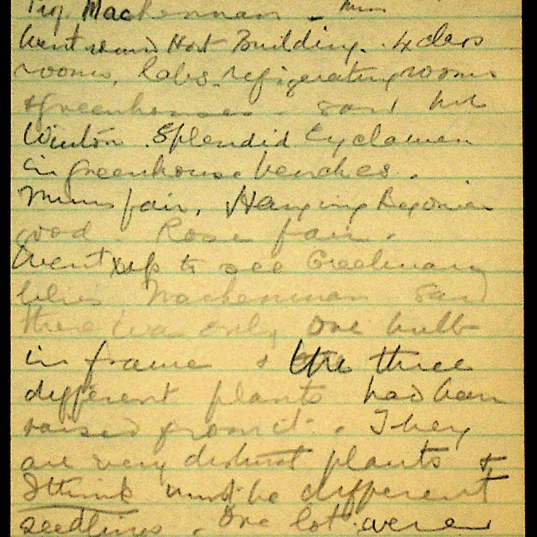 A Journal page with handwritten descriptions of the creelman lily