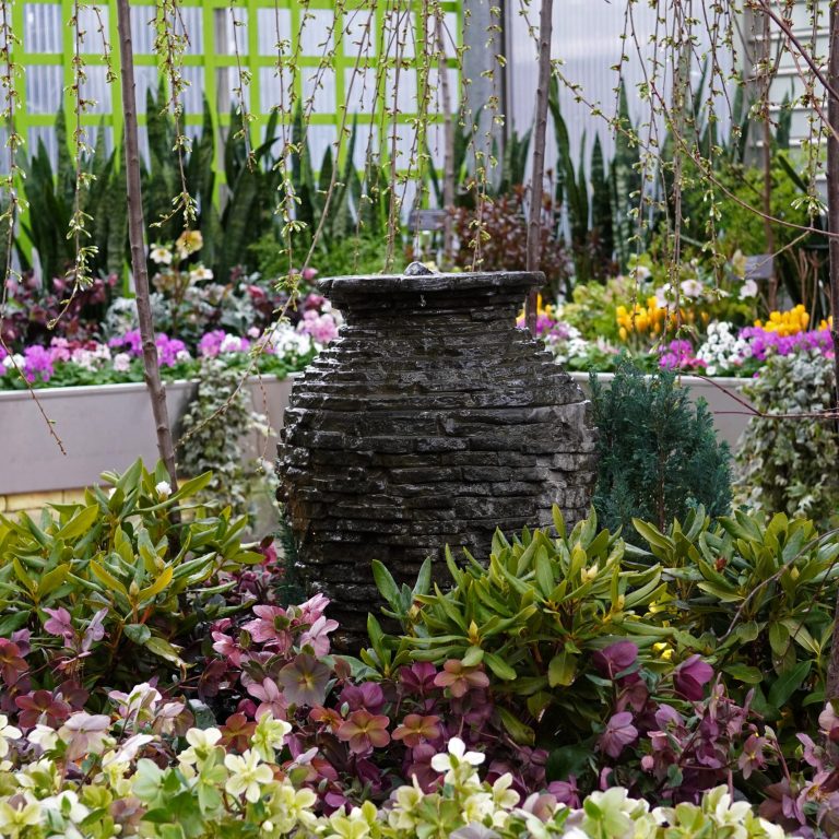 indoor breezeway display featuring mixed pink, white, and purple hellebore around a stone vase shaped water feature