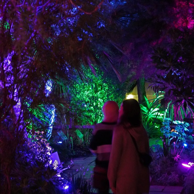 two people walking through the Mediterranean Garden during RBG After Dark with mood up lighting decorating the greenhouse