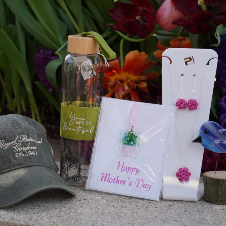 Mother's Day card, polymer floral earrings, glass water bottle, glass bird decor, and RBG brand hat display from the Shop