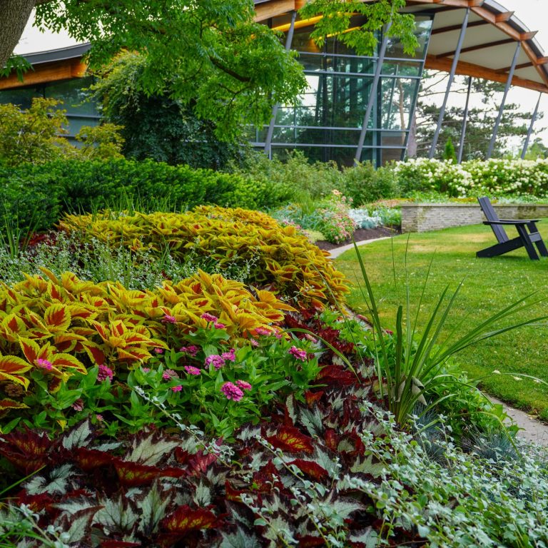 Rock Garden upper garden display bed with the Visitor Centre in the background