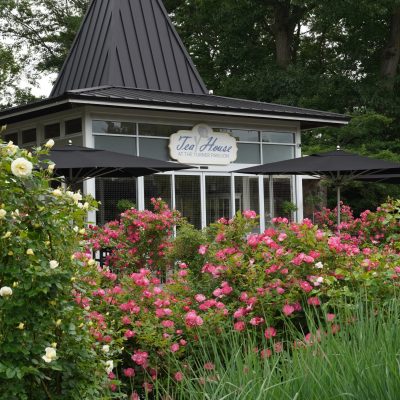 Exterior of the Tea House at the Turner Pavilion in Hendrie Park. Tall rose bushes line the foreground with the building with large glass windows just behind.