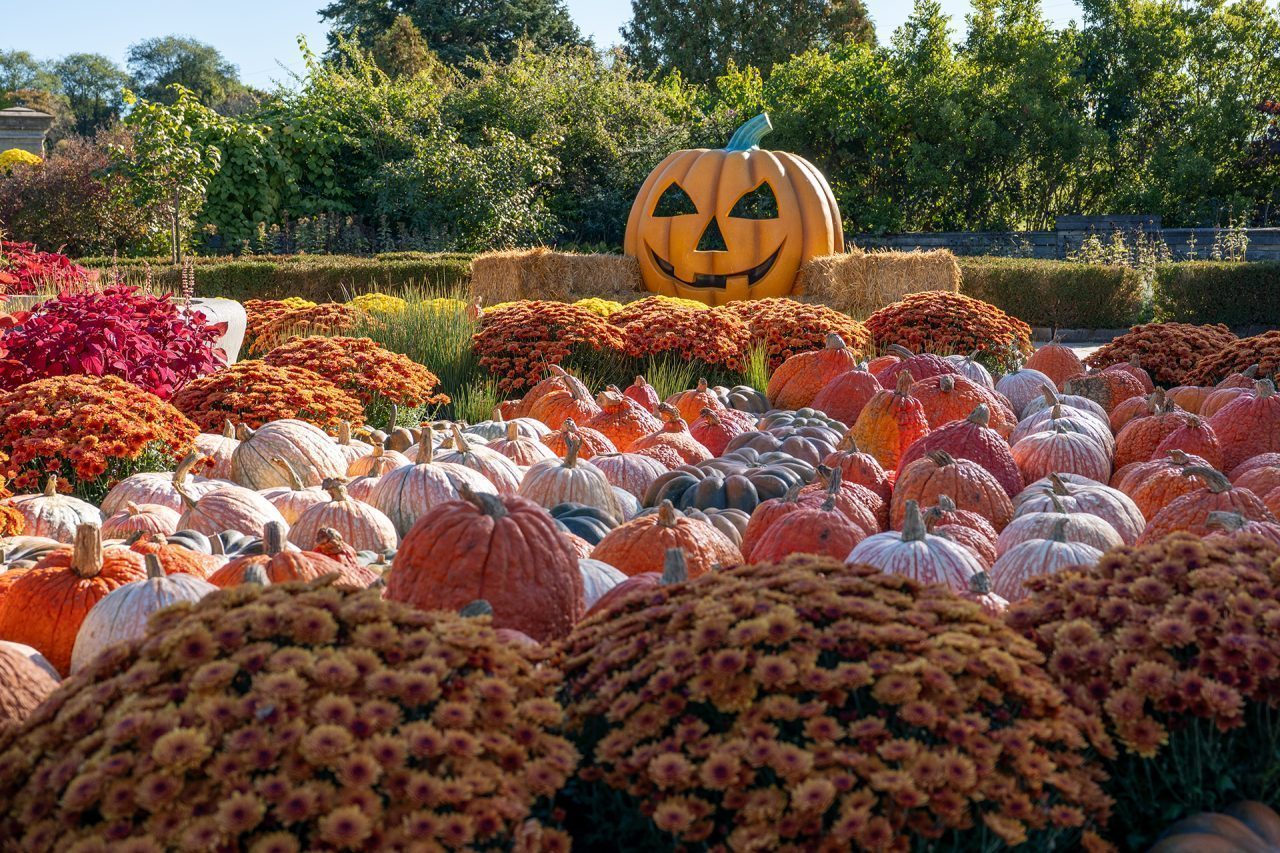 Pumpkin mosaic display in Scented garden featuring multiple shapes sizes and colours in decorative patterns
