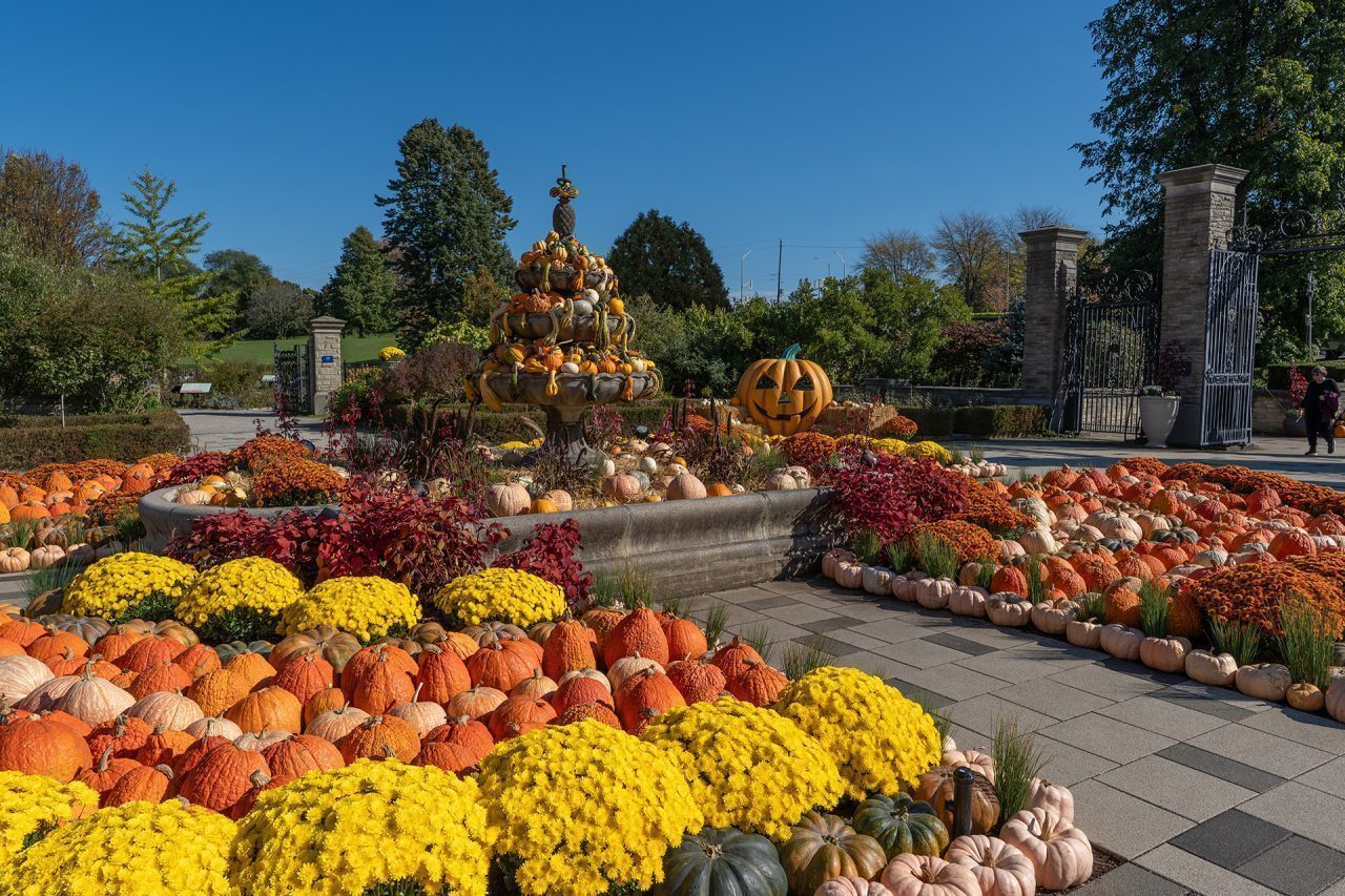 Scented garden filled with pumpkins and gourds, including spilling out of the fountain