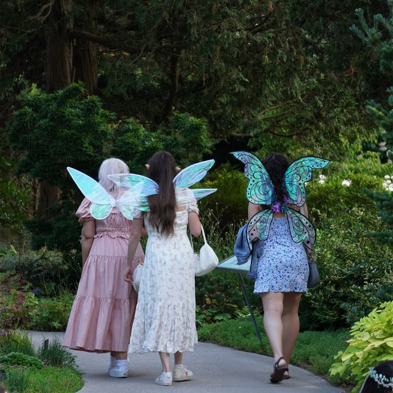 three women dressed as fairies walking through rock garde