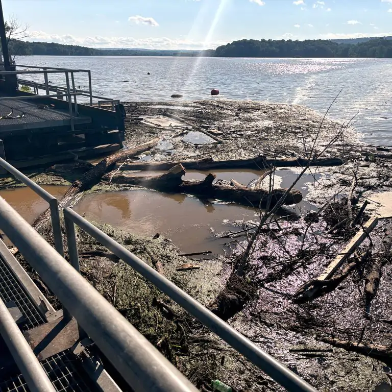 large natural and construction debris floating near fishway