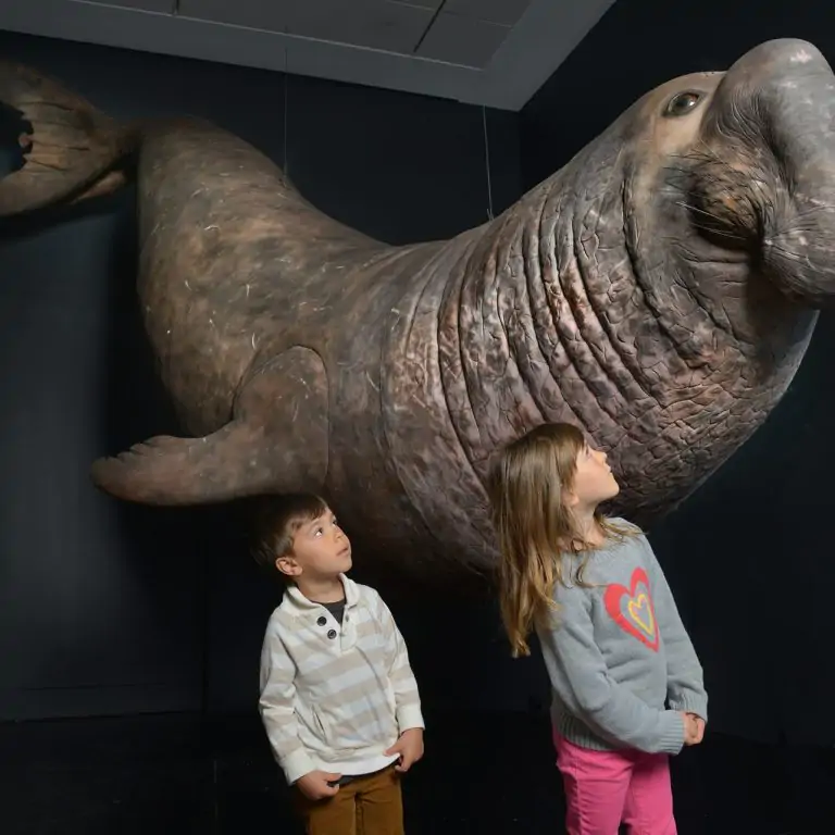 Two children standing beneath a life-sized model of an elephant seal