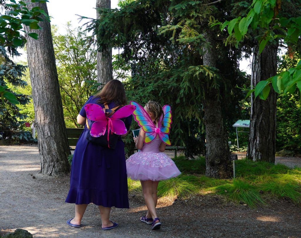 The Enchanted Garden