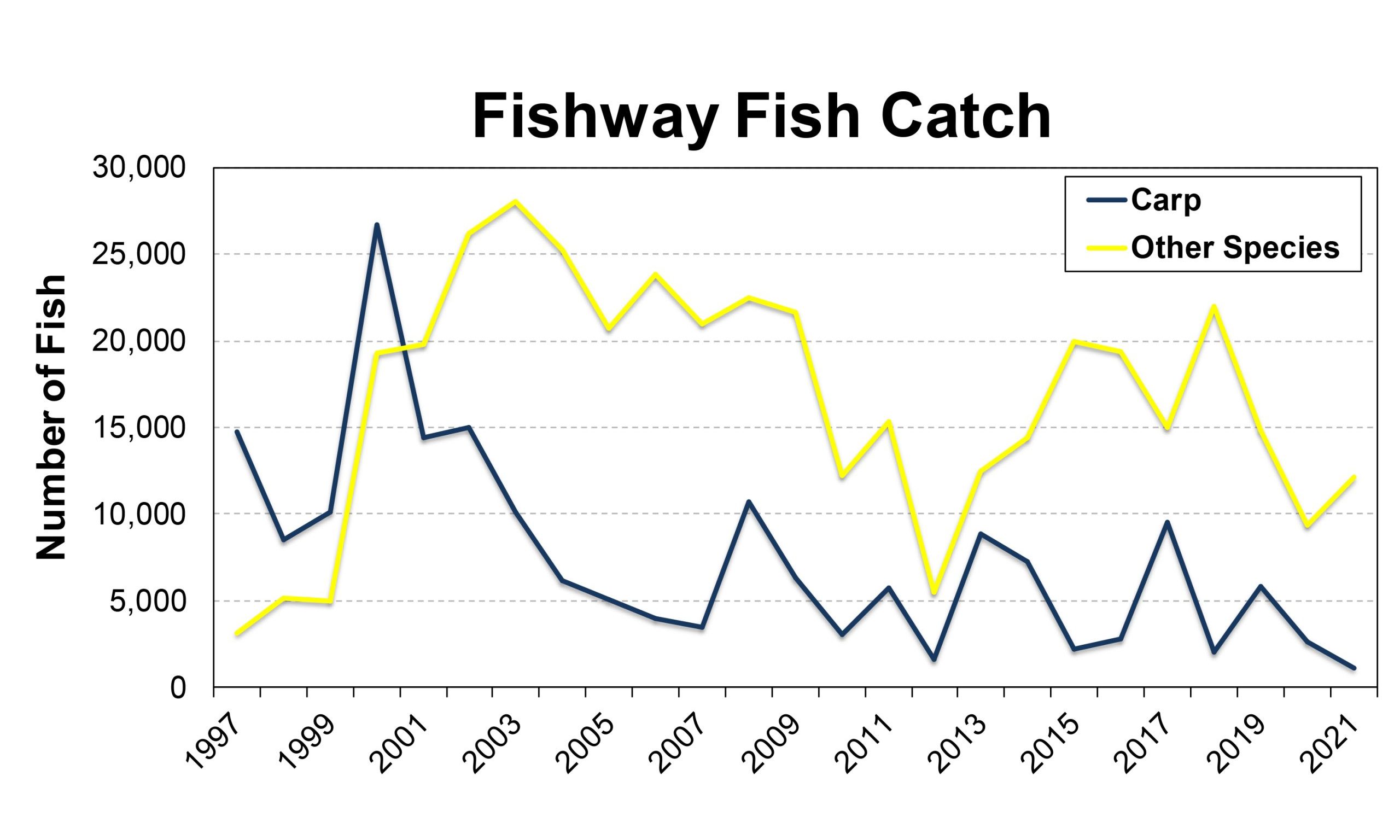 Graph displaying fish catch in the RBG Fishway until 2021