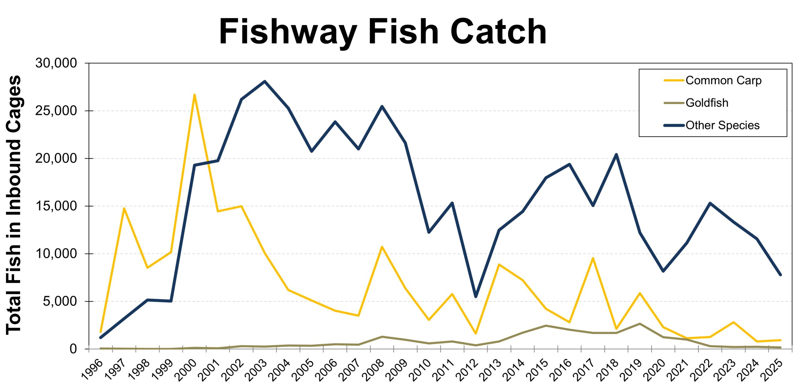 Line graph titled 'Fishway Fish Catch' displaying fish catch data from 1996 to 2024 at the Royal Botanical Gardens (RBG) Canada. The vertical axis represents the total number of fish, ranging from 0 to 30,000. The graph includes three data lines: 'Common Carp' (yellow), 'Goldfish' (olive green), and 'Other Species' (dark blue). The data shows fluctuating numbers over the years, with 'Other Species' peaking around 2002 and again in the mid-2010s, while 'Common Carp' shows high numbers in the early 2000s but declines significantly after 2010. 'Goldfish' remains relatively low throughout the timeline.