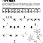Flashing-Fireflies Flashing Fireflies Activity Sheet