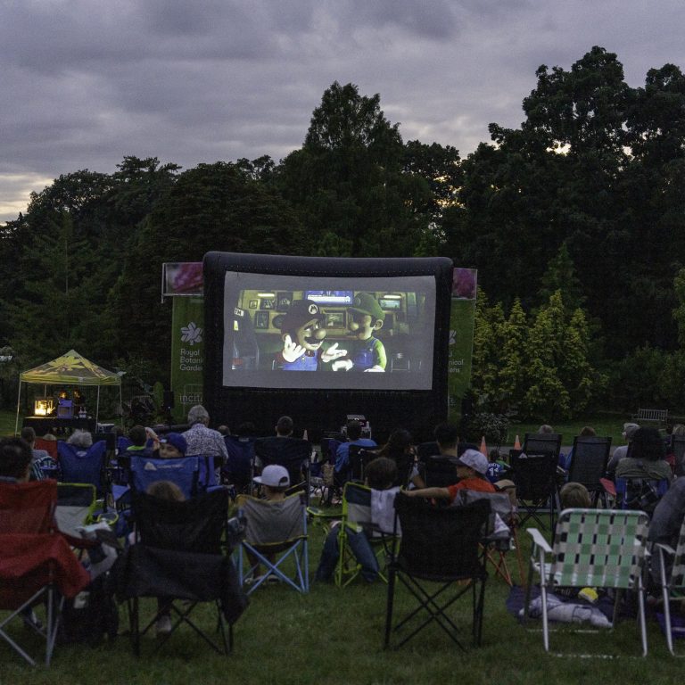 Outdoor movie event in Hendrie Park with visitors in camping chairs