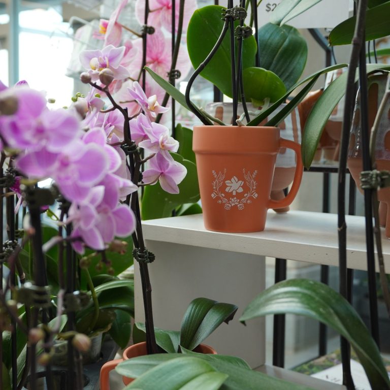 RBG branded mug shaped like a garden pot. It is placed on a shelf amongst orchid blooms for sale.