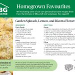 Gardenspinach-lemon-ricotta-flower-pasta Garden Flower Pasta Recipe