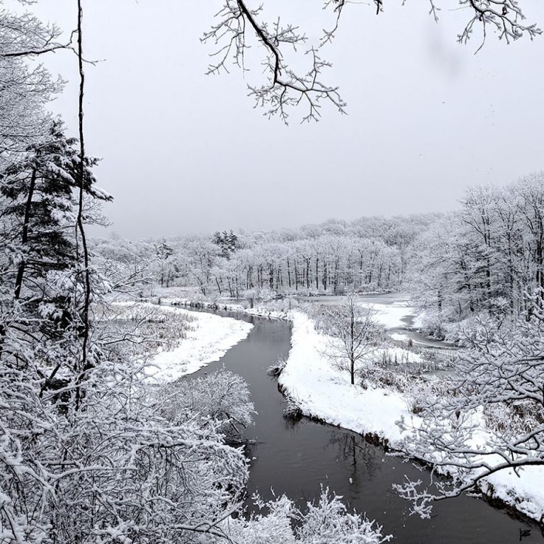 Snow-covered Hendrie Valley and Grindstone Creek