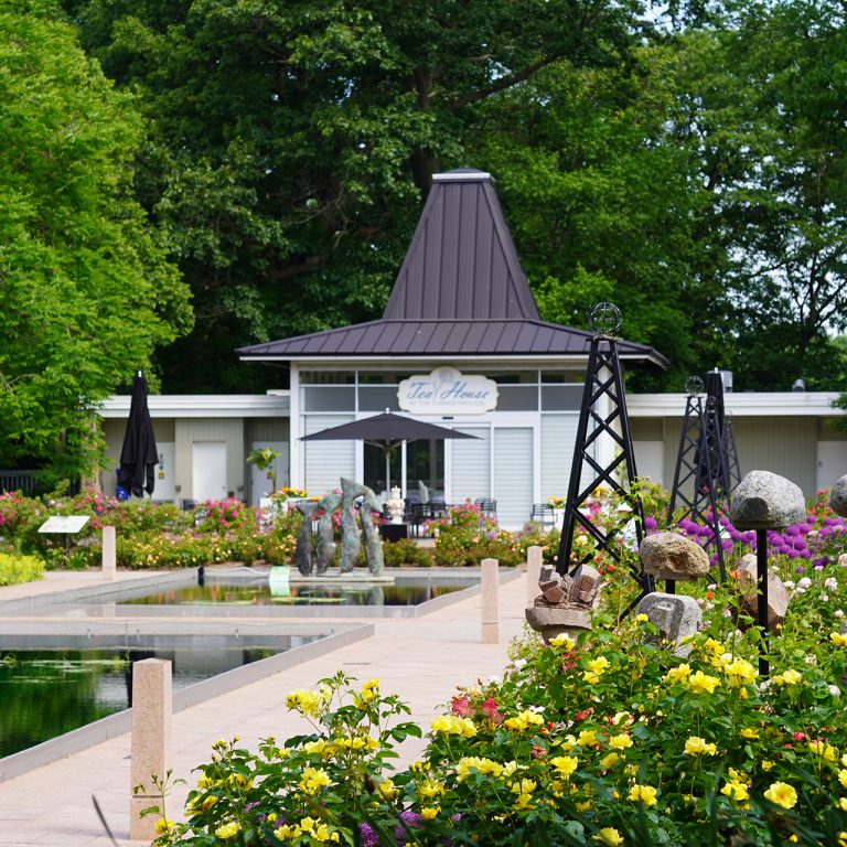 View of the teahouse in the rose garden in peak bloom