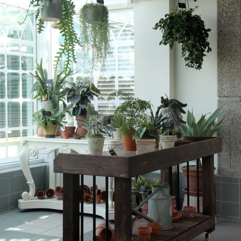 potting bench set up with hanging houseplants and potted houseplants arranged together