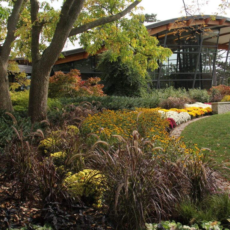 garden bed outside of Rock Garden Visitor Centre with mums, rudbeckia, and purple grasses